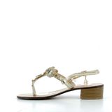 Scarpe Laura Biagiotti Donna 8508P24 TOPAZIO